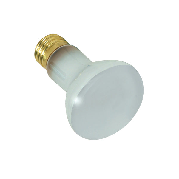 Satco Lighting S7001   Light Bulb Frost