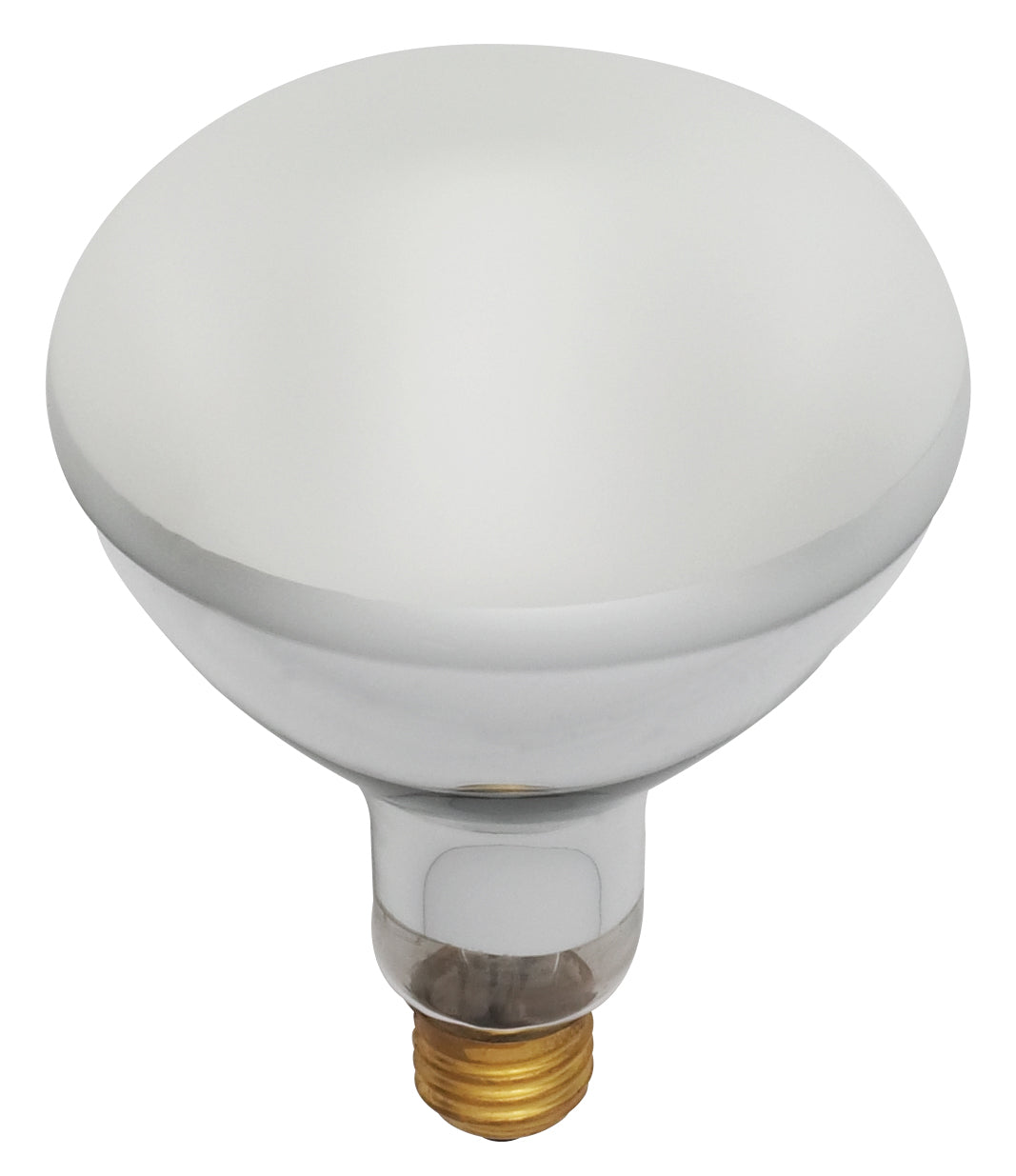 Satco Lighting S7007   Light Bulb Frost