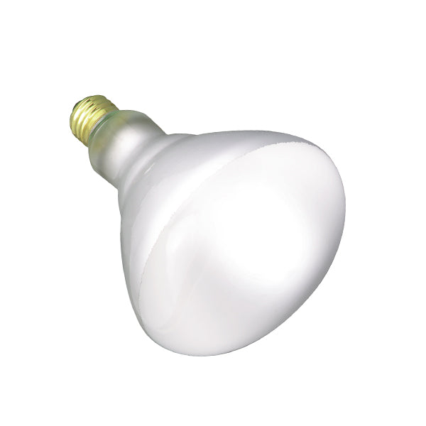 Satco Lighting S7011  Light Bulb Light Bulb White