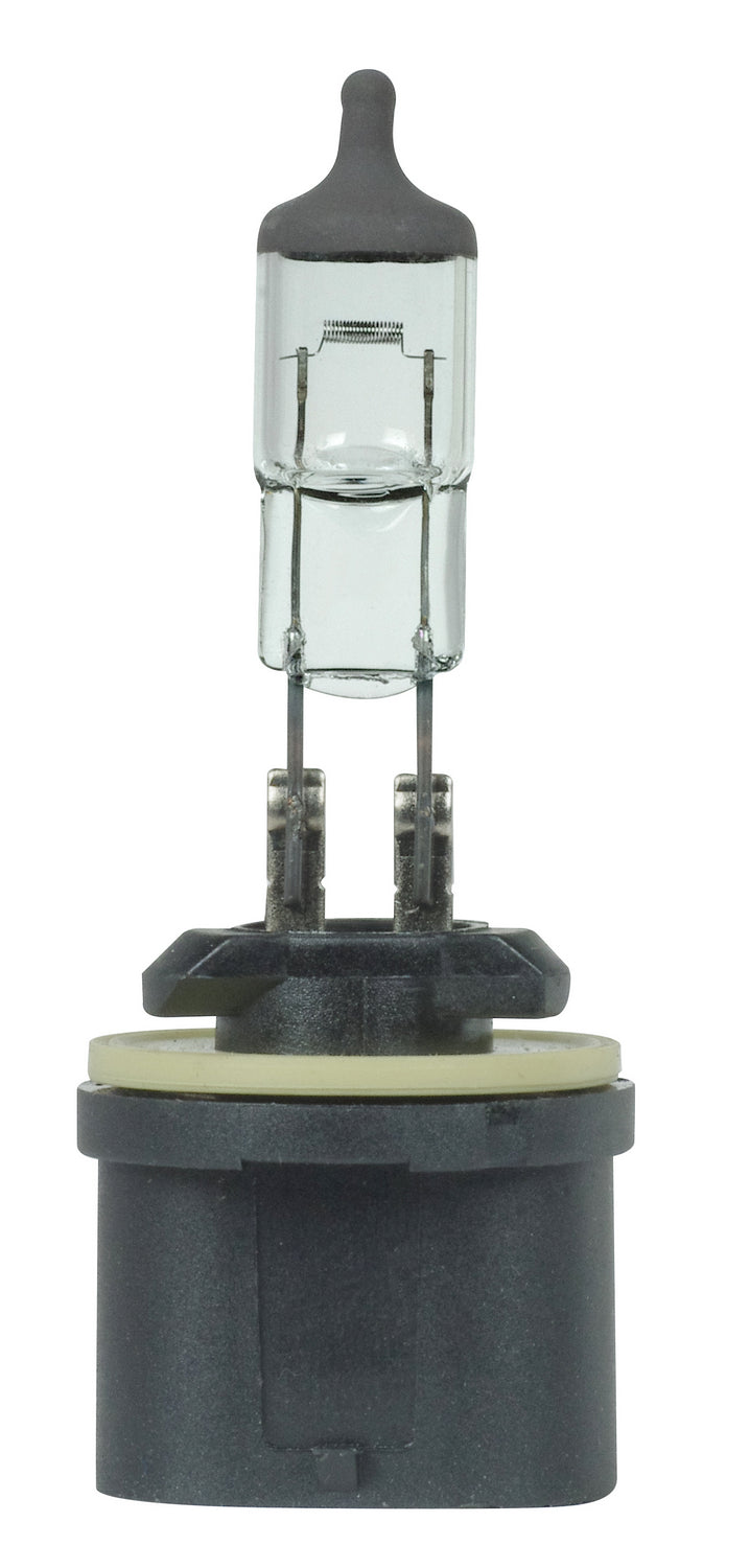 Satco Lighting S7156   Light Bulb Black Crown