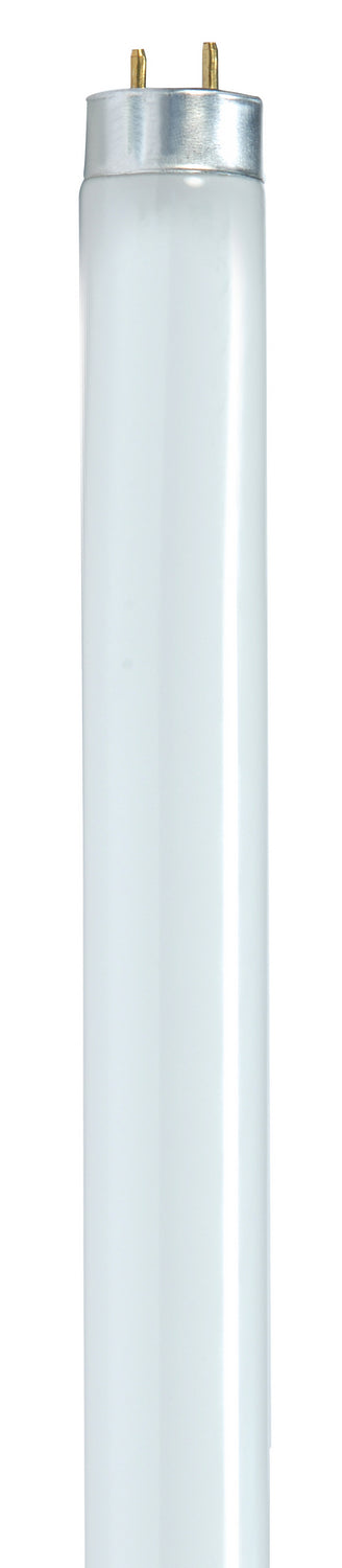 Satco Lighting S8406   Light Bulb Gloss White