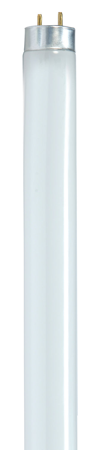 Satco Lighting S8418   Light Bulb Gloss White