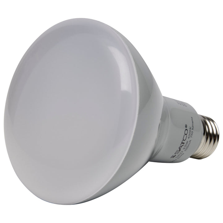 Satco Lighting S9620   Light Bulb Frost