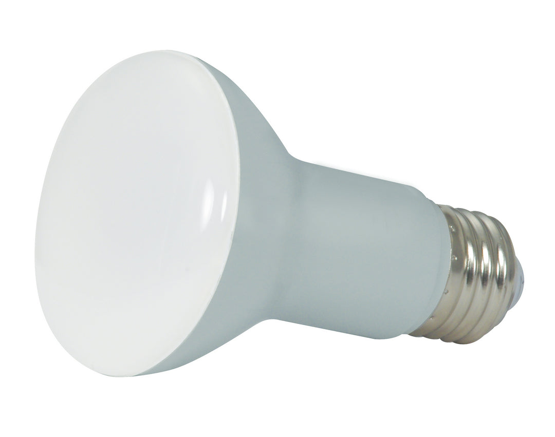 Satco Lighting S9630   Light Bulb Frost