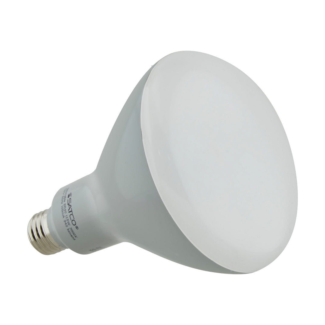 Satco Lighting S9635   Light Bulb Frost