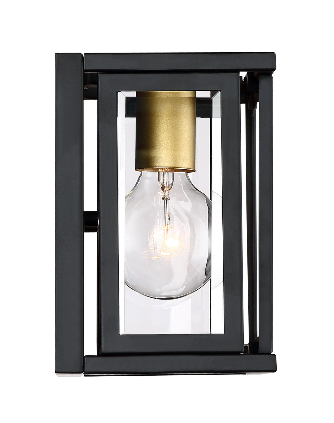 Nuvo Payne 60-6411 Wall Light - Black