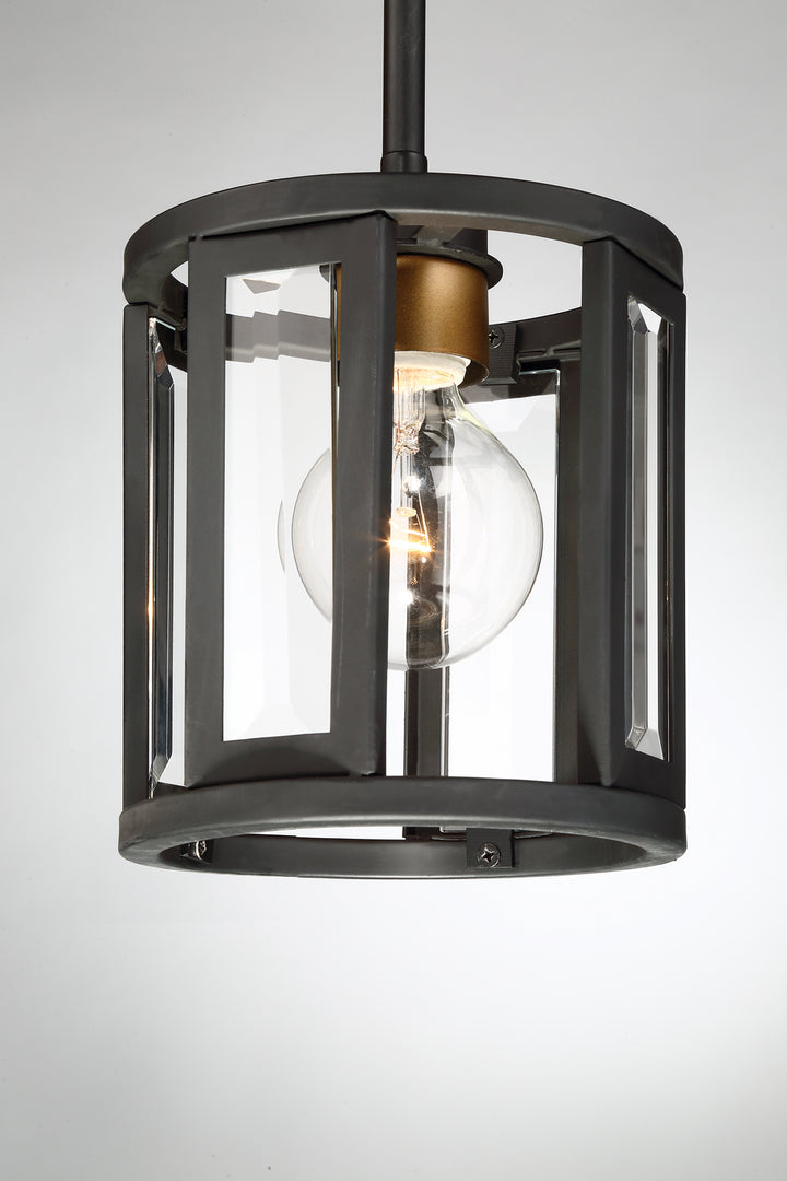 Nuvo Payne 60-6412 Pendant Light - Black