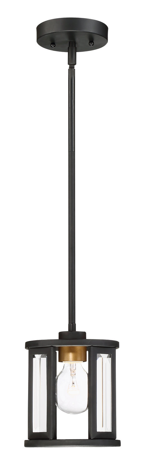 Nuvo Payne 60-6412 Pendant Light - Black