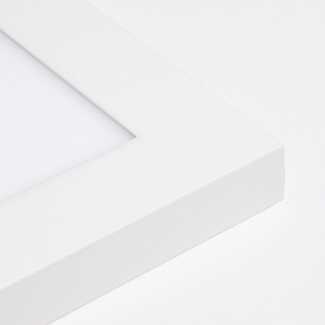Nuvo 62-1154 Ceiling Light - White