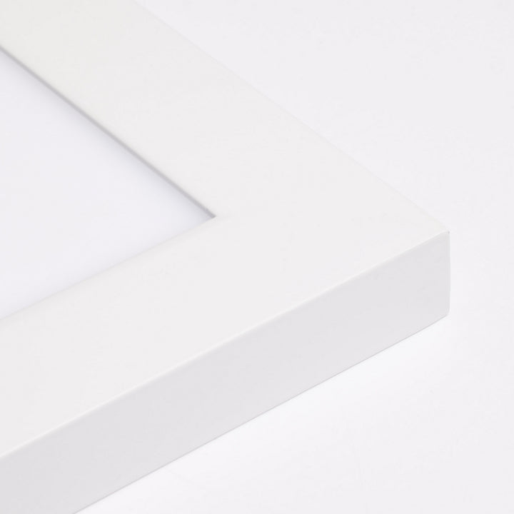 Nuvo 62-1154 Ceiling Light - White