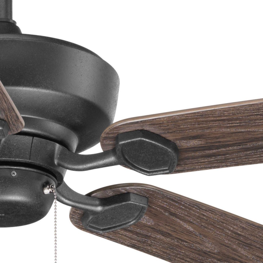 Progress Lakehurst P2562-80 Ceiling Fan - Forged Black, Toasted Oak/