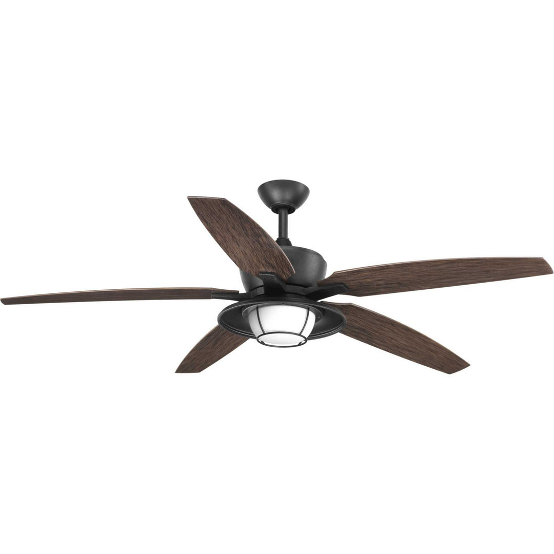 Progress Montague P2564-8030K Ceiling Fan - Forged Black, Toasted Oak/