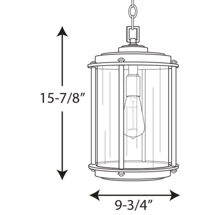 Progress Lighting P550022-129 Laine One Light Hanging Lantern Outdoor Bronze / Dark