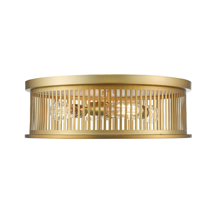Z-lite  334F4BR Ceiling Light