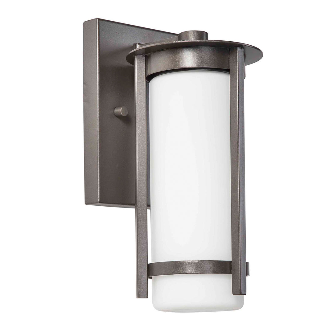 Eglo Lighting 203111A  Truxton Outdoor Graphite