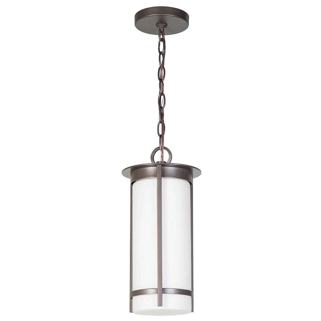 Eglo Lighting 203113A  Truxton Outdoor Graphite