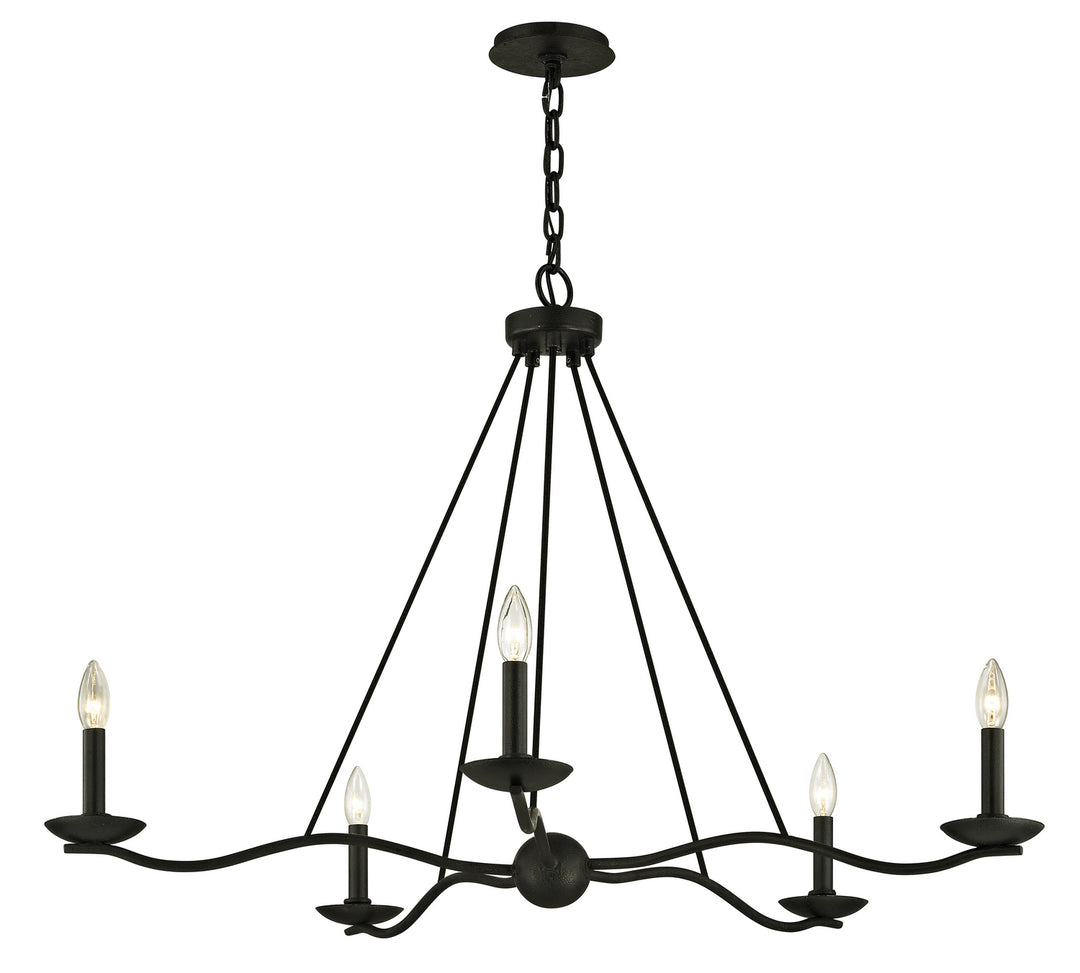 Troy Sawyer F6305 Chandelier Light - Forged Iron