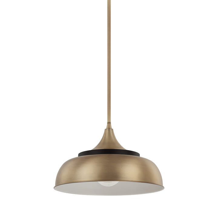 Capital Max 325713BX Pendant Light - Brass and Onyx