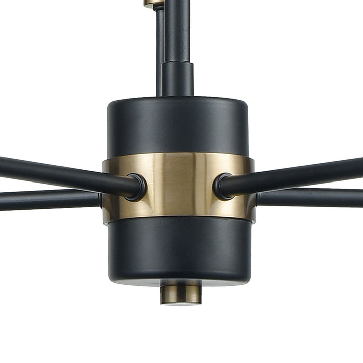 Elk Livingston 15276/5 Chandelier Light - Matte Black