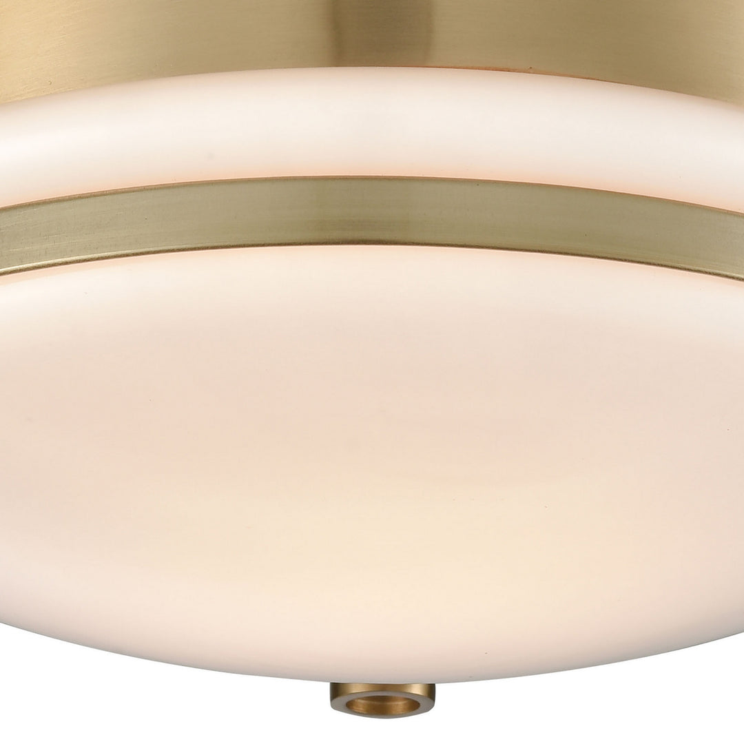 Elk Riley 16092/1 Ceiling Light - Satin Brass