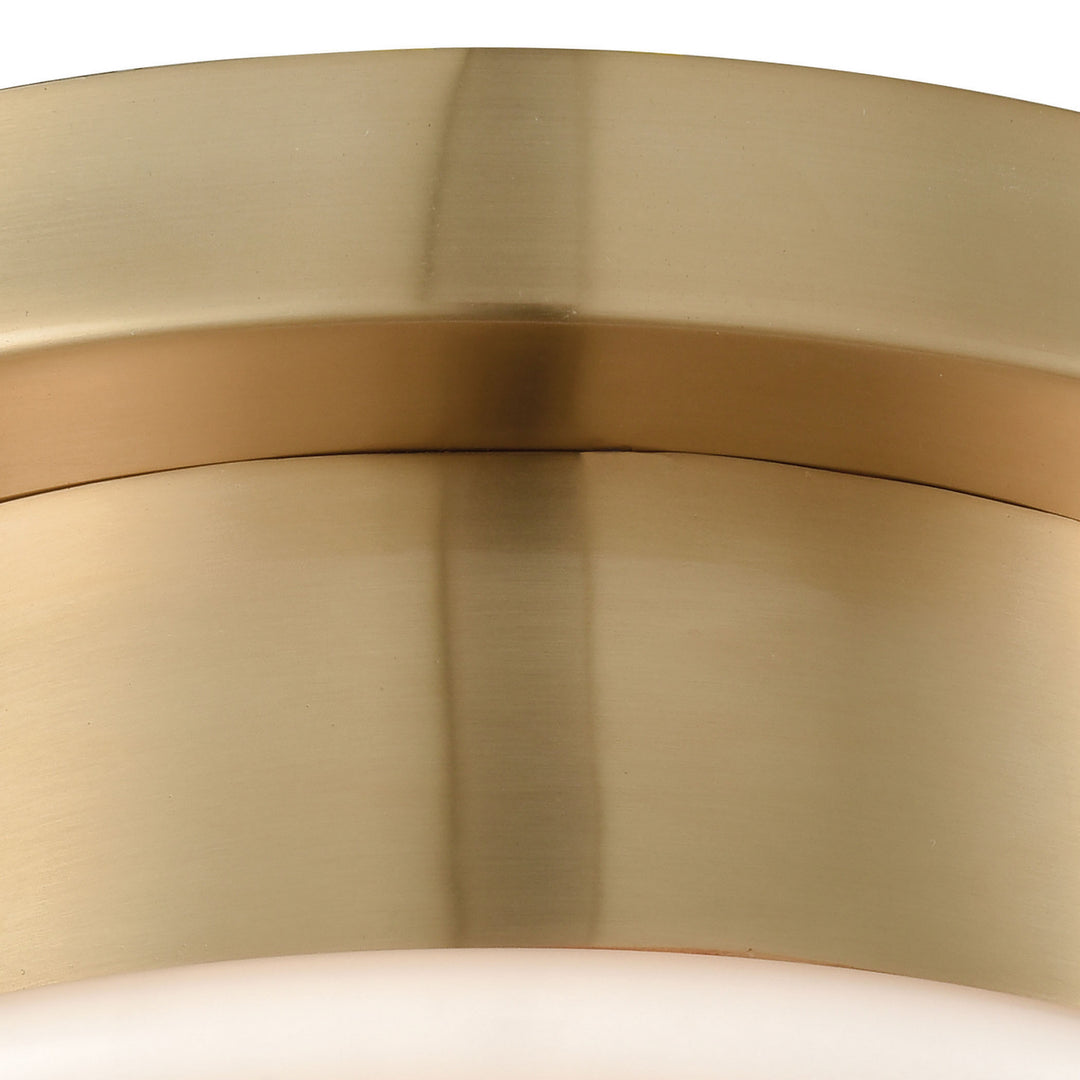 Elk Riley 16092/1 Ceiling Light - Satin Brass