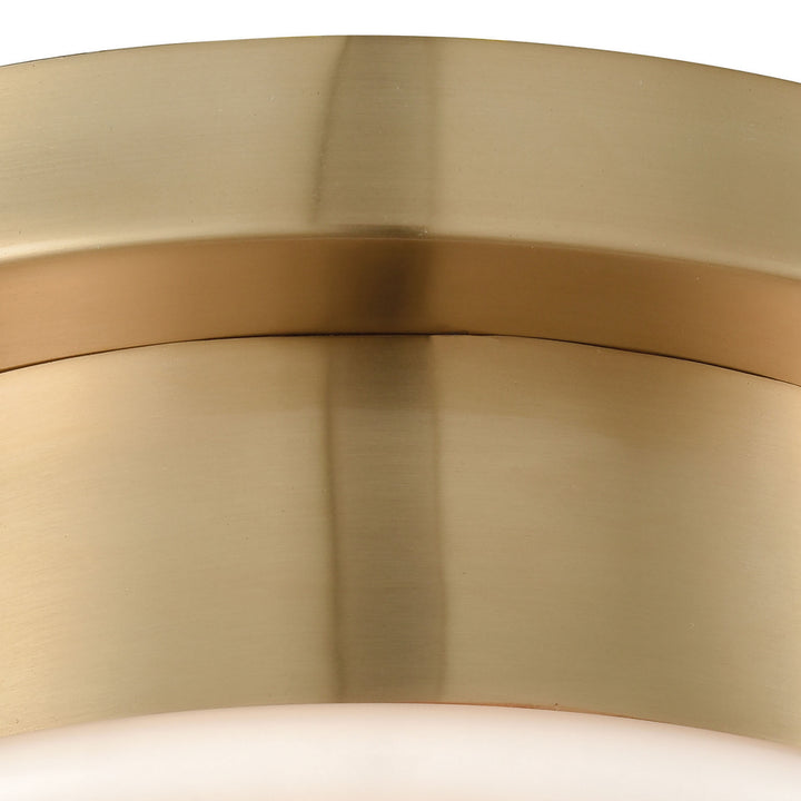 Elk Riley 16092/1 Ceiling Light - Satin Brass