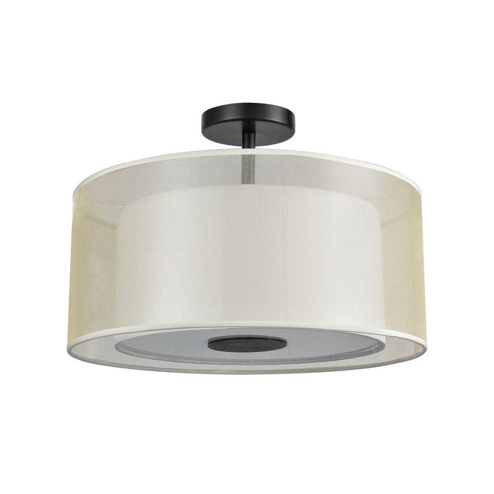 Elk Ashland 46267/2 Ceiling Light - Matte Black