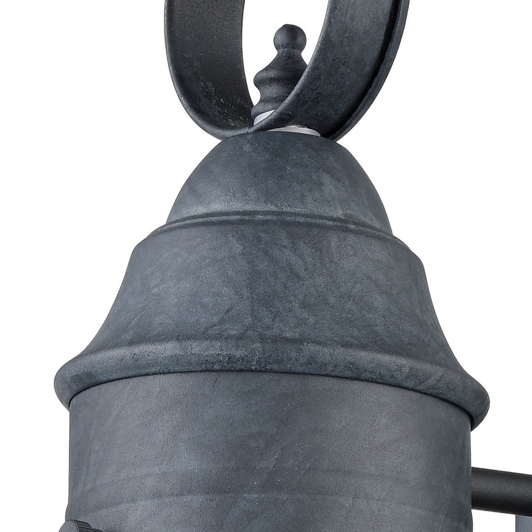 Elk Lighting 57170/1  Onion Outdoor Aged Zinc