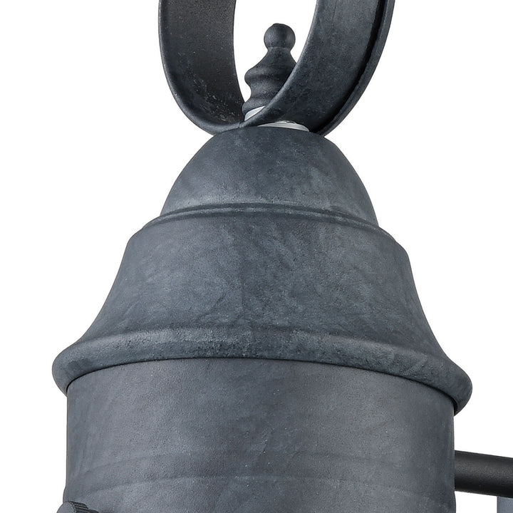 Elk Lighting 57170/1  Onion Outdoor Aged Zinc