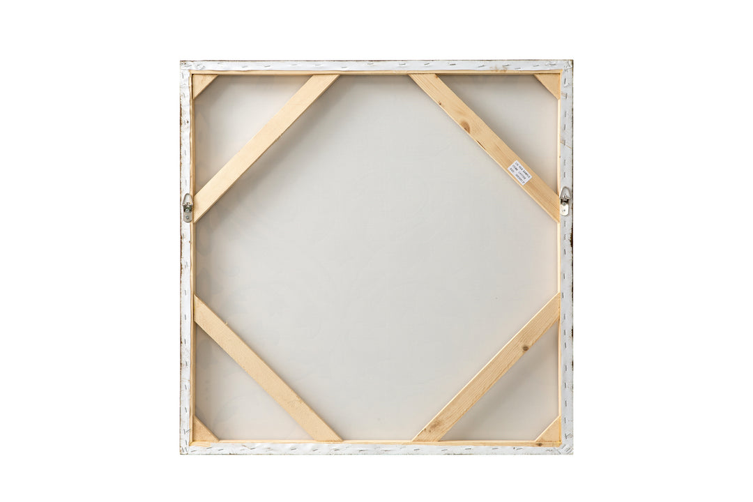 Varaluz Lighting 425A50  Varaluz Casa Mirror Bronze / Dark