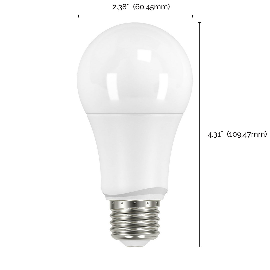 Satco Lighting S29589   Light Bulb Frost