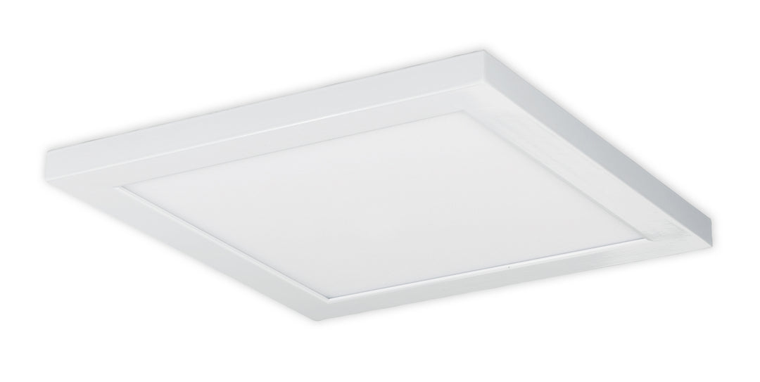 Nuvo 62-1251 Ceiling Light - White
