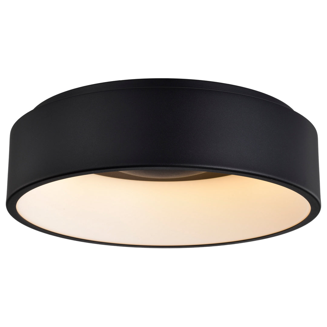Nuvo Orbit 62-1452 Ceiling Light - Black