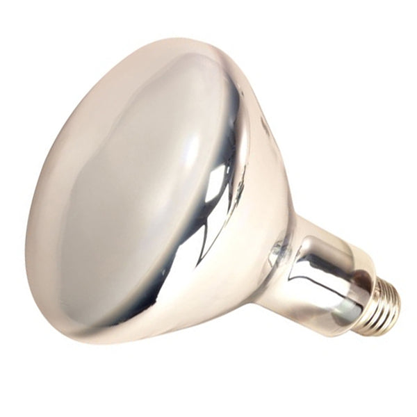 Satco Lighting S4378   Light Bulb Coated White