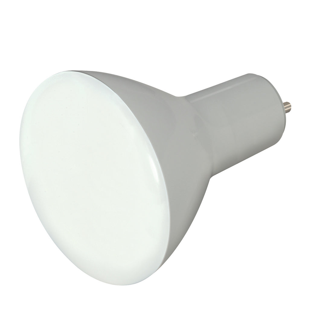 Satco Lighting S9627   Light Bulb Frost