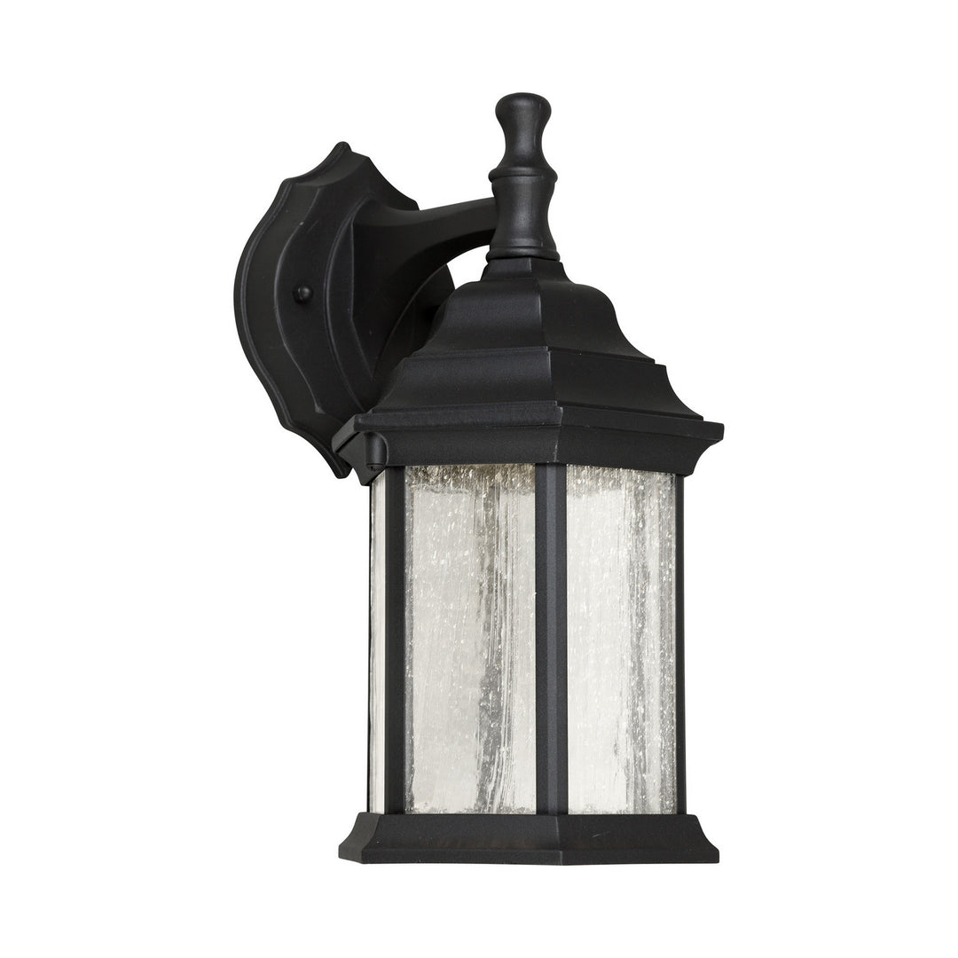 Forte Lighting 17102-04  Led Outdoor Light Outdoor Black