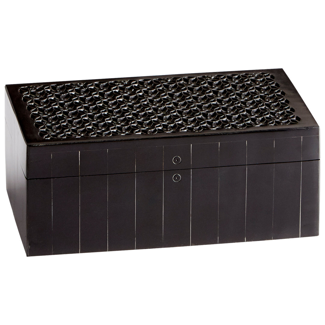 Cyan 09799 Containers & Trays - Black