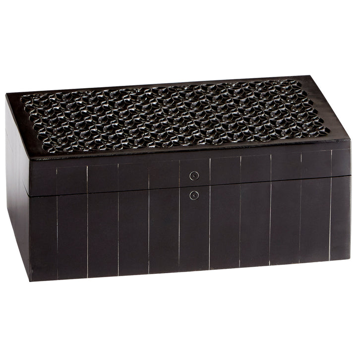 Cyan 09799 Containers & Trays - Black