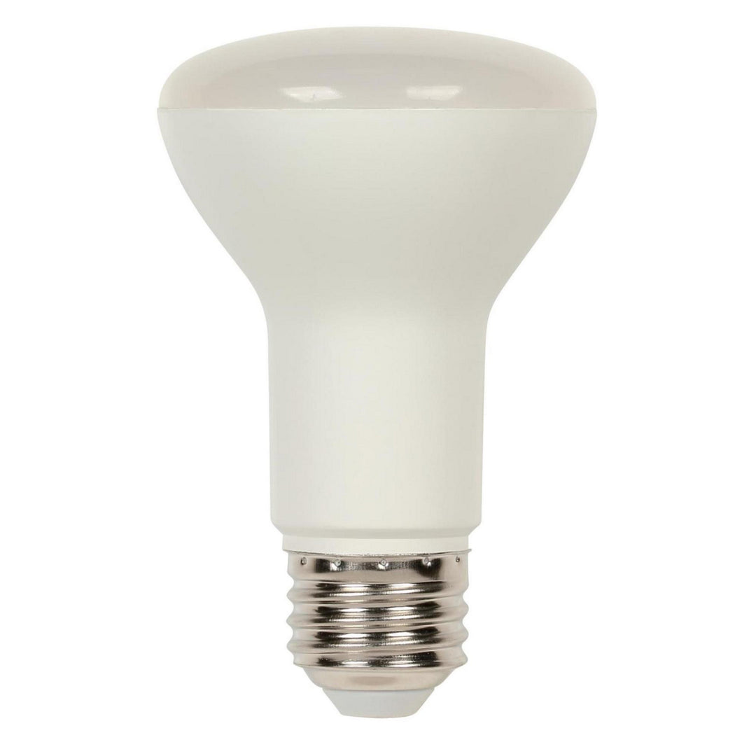 Westinghouse Lighting 5011000   Light Bulb Frost