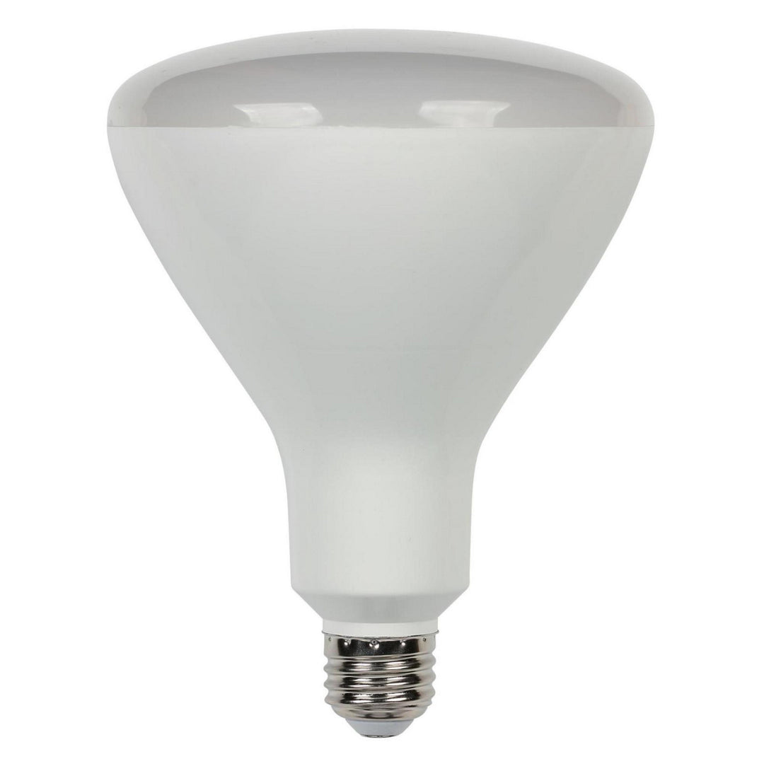 Westinghouse Lighting 5014000   Light Bulb Frost