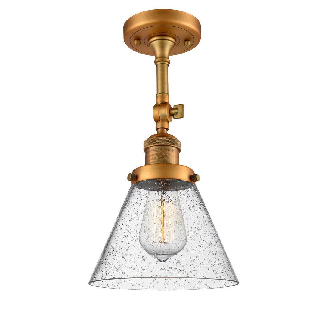 Innovations Franklin Restoration 201F-BB-G44-LED Ceiling Light - Brushed Brass