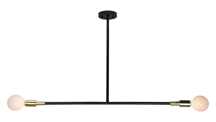 Renwil Pairs LPC4068 Pendant Light - Matte Black/Polished Brass