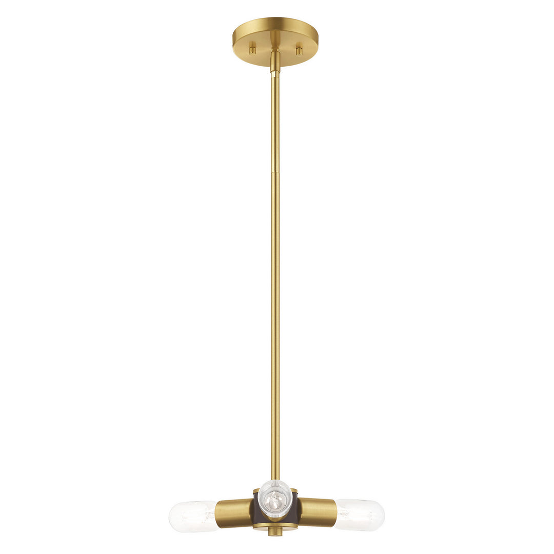 Livex Lighting 51133-12  Copenhagen Utility Light Satin Brass W/ Bronzes