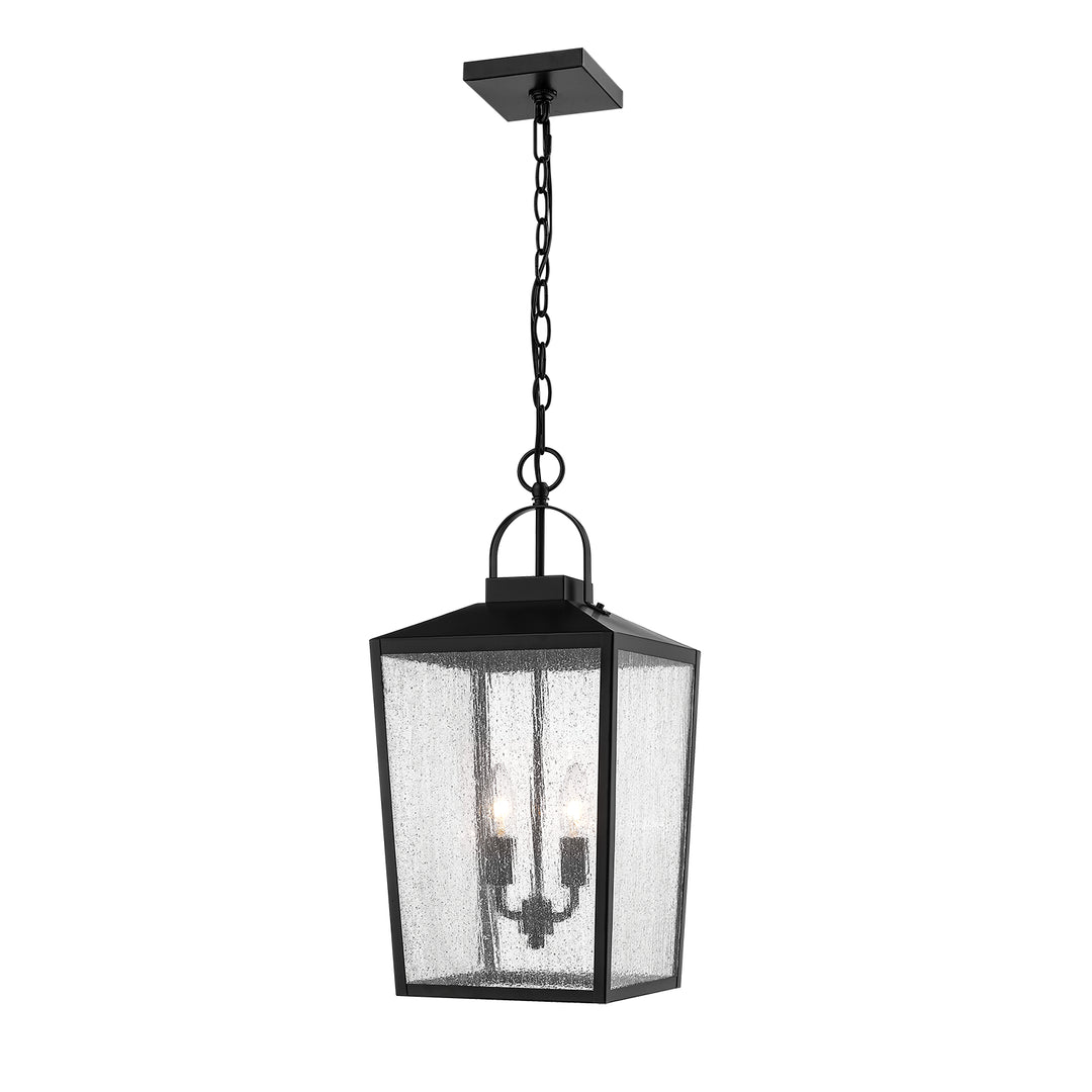 Millennium Lighting 2655-PBK Devens Two Light Outdoor Hanging Lantern Outdoor Black