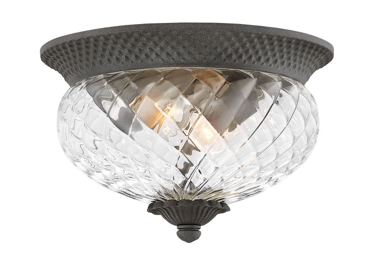 Hinkley Plantation 2128MB Ceiling Light - Museum Black