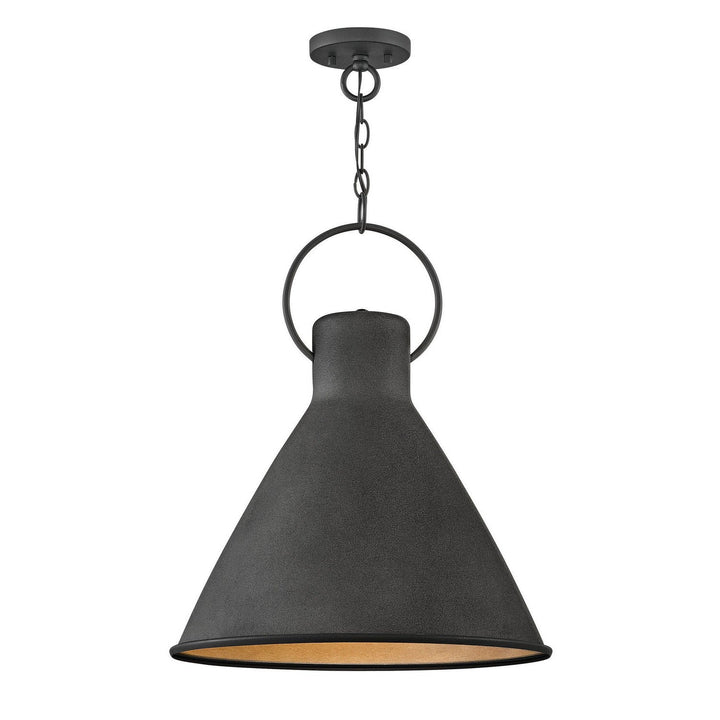 Hinkley Winnie 3555DZ Pendant Light - Aged Zinc