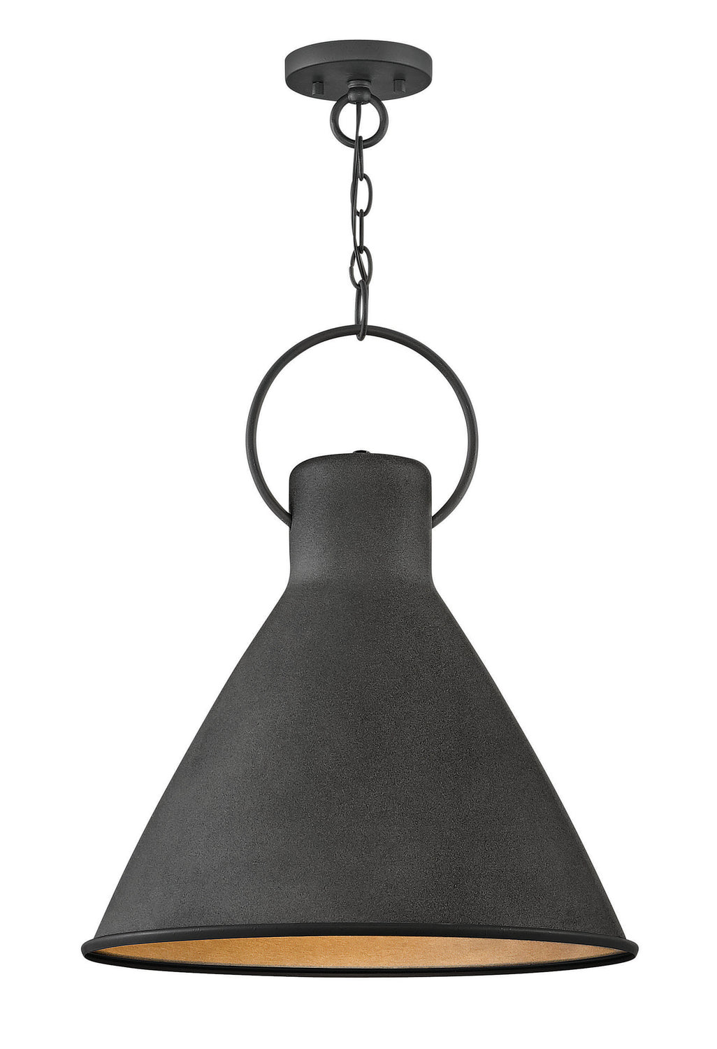 Hinkley Winnie 3555DZ Pendant Light - Aged Zinc