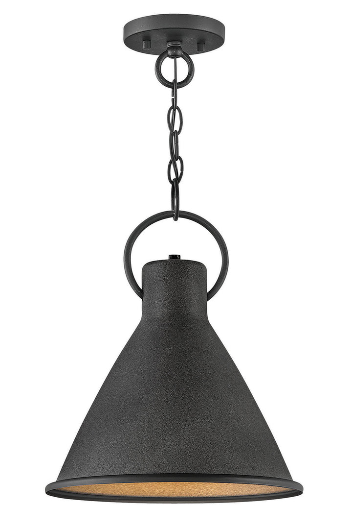 Hinkley Winnie 3557DZ Pendant Light - Aged Zinc