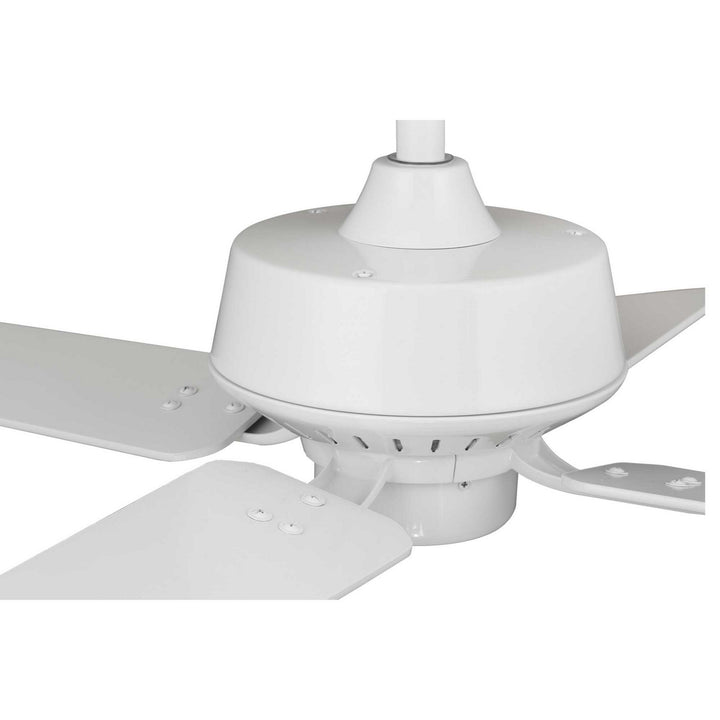 Progress Drift P250008-030 Ceiling Fan - White, White, Driftwood/