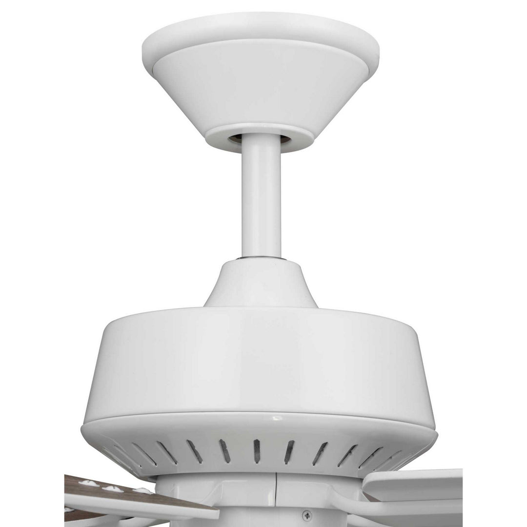 Progress Drift P250008-030 Ceiling Fan - White, White, Driftwood/